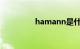 hamann是什么车的标志