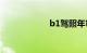 b1驾照年审新规定