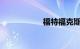 福特福克斯车怎么样