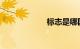 标志是哪国的品牌