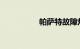 帕萨特故障灯图解大全