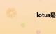 lotus是什么车