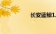 长安蓝鲸1.5t发动机