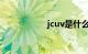 jcuv是什么车多少钱