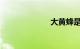 大黄蜂是什么车