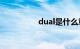dual是什么意思车上的