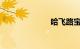 哈飞路宝多少钱