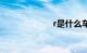 r是什么车的标志