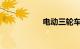 电动三轮车排名十强