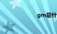 gm是什么牌子