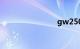 gw250价格