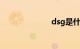 dsg是什么意思