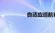 自适应巡航有什么弊端