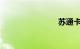 苏通卡充值