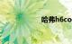 哈弗h6coupe改装