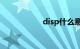 disp什么意思车上的