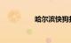 哈尔滨快狗打车挣钱吗