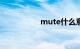 mute什么意思车上的