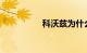 科沃兹为什么这么便宜