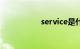 service是什么故障灯