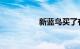 新蓝鸟买了有后悔的吗