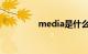 media是什么意思车上的