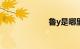 鲁y是哪里的车牌