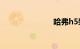 哈弗h5柴油版