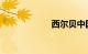 西尔贝中国有几辆