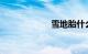 雪地胎什么牌子好