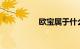 欧宝属于什么档次的车