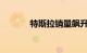 特斯拉销量飙升至创纪录水平