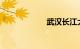 武汉长江大桥限号