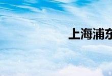 上海浦东机场停车费