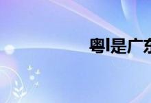粤l是广东哪里的车牌