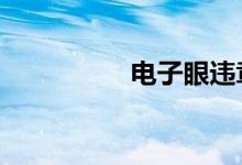 电子眼违章30天内处理