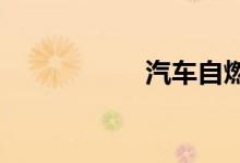汽车自燃保险赔多少