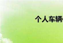 个人车辆信息查询系统
