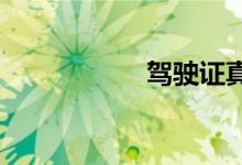 驾驶证真假查询网站