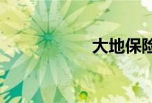 大地保险为什么便宜