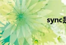 sync是什么意思