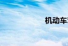 机动车驾驶证查询