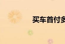 买车首付多少钱可以提车