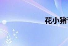 花小猪司机端注册