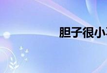胆子很小不敢骑电动车