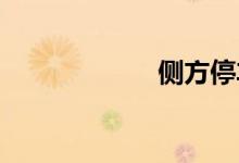 侧方停车技巧视频