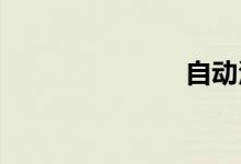 自动泊车系统