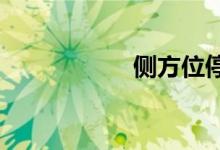 侧方位停车视频教学