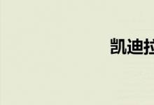 凯迪拉克车钥匙