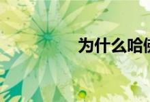 为什么哈佛m6销量不好